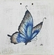 20220730 071155