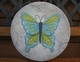Blue Green Butterfly G 181
