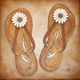 Brown Flops 2012
