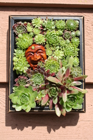 Framed
